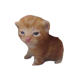 jit