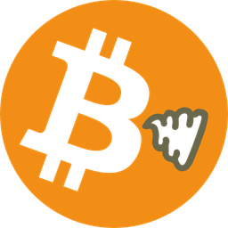 shitcoin