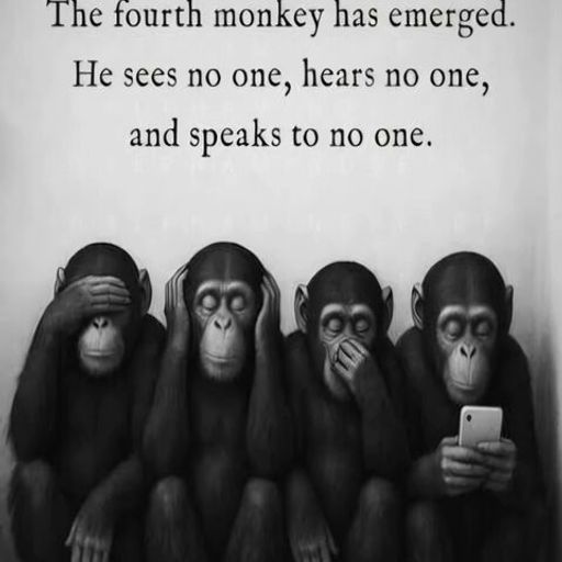 4MONKEYS