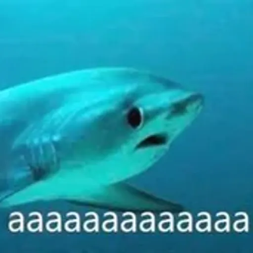 AAAAAAAAAAA