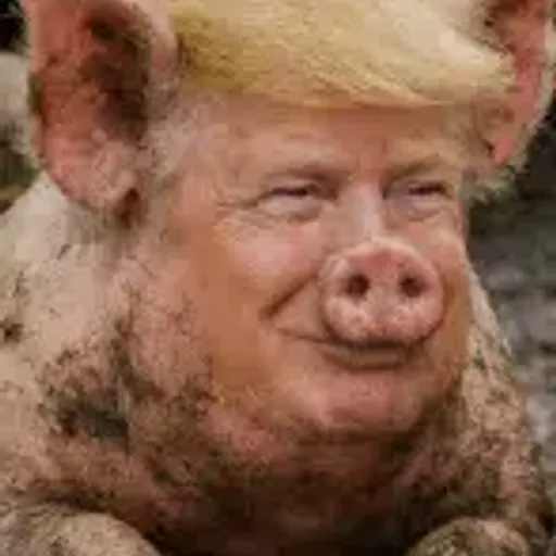 POTUS