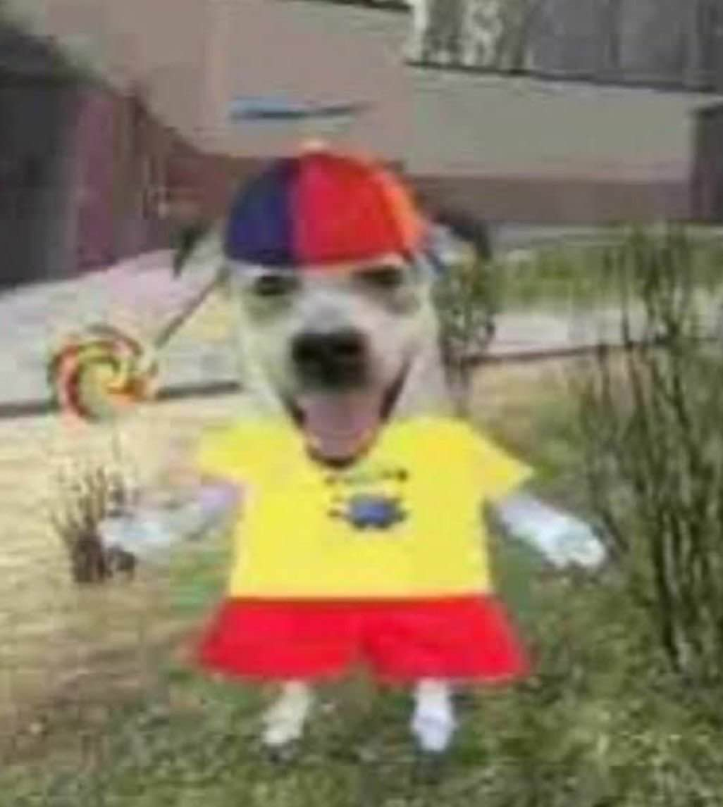 ROSCOE