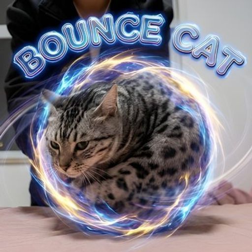 BounceCat