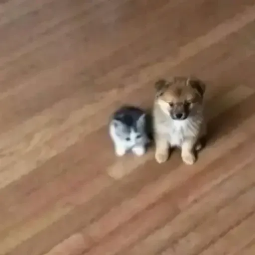 ˢᵐᵒˡ