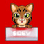 DEV