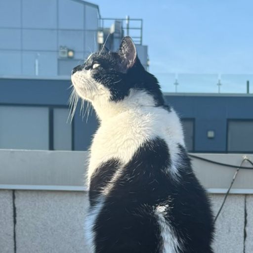 ROBINCAT