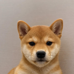 Achi