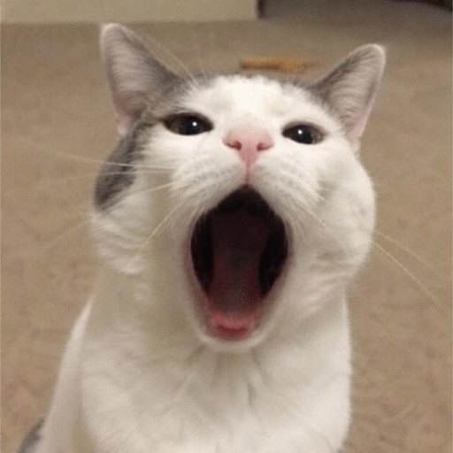 POPKAT