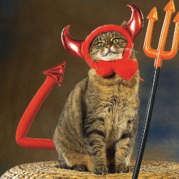 DARECAT