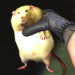 Robert