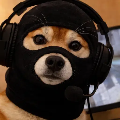 DOGWIFMASK