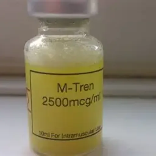 MTREN