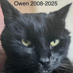 Owen