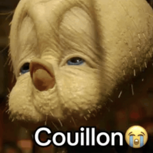 couillon