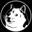 NOTDOGE