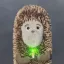 HIF